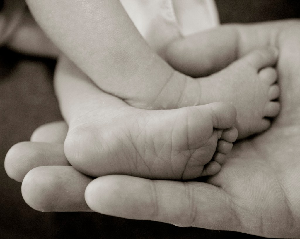 Photo Credit: Melissa Hassey (melissahassey.com)