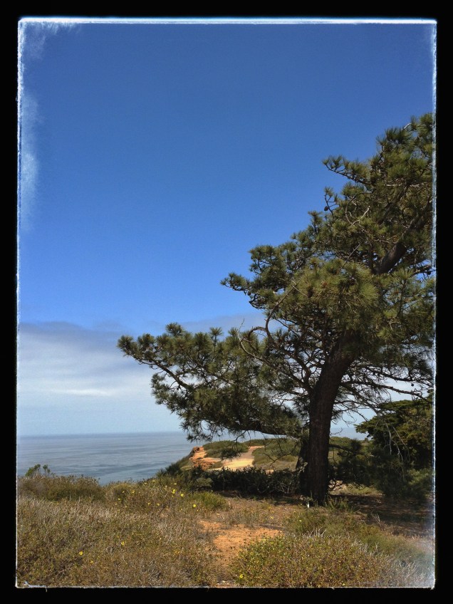 Cabrillo (Photo: CKirgiss)