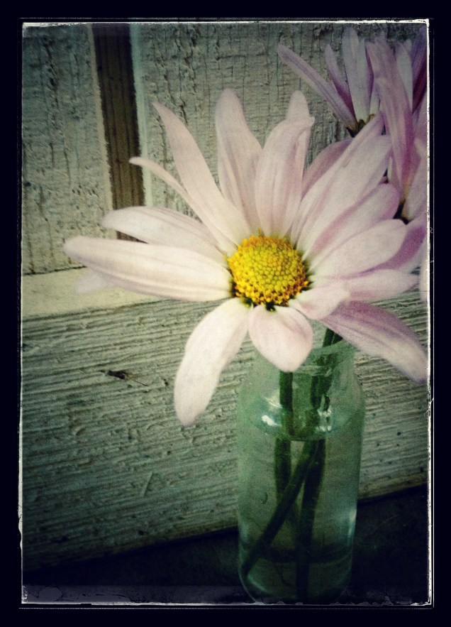 May Day Flowers (Photo: CKirgiss)