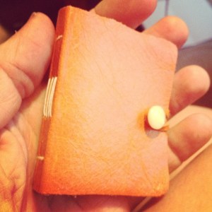 Mini-journal