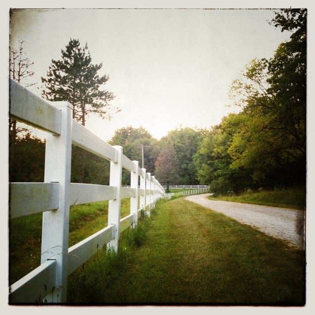 Bend in the road (Photo: CKirgiss)