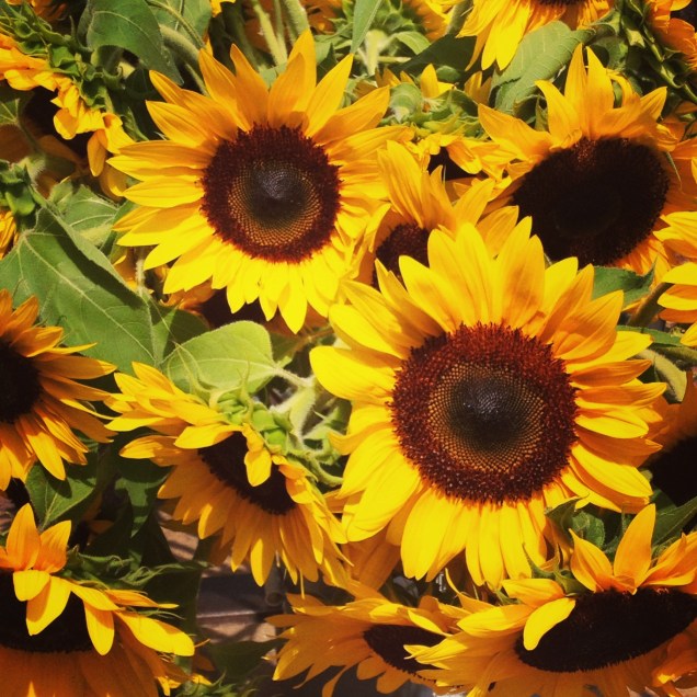 Summer's end (Photo: CKirgiss)