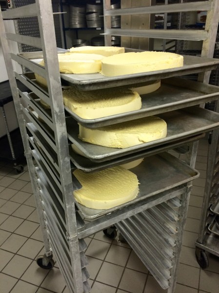 Frozen slabs of ice cream, ready for The Big Cookie(s)