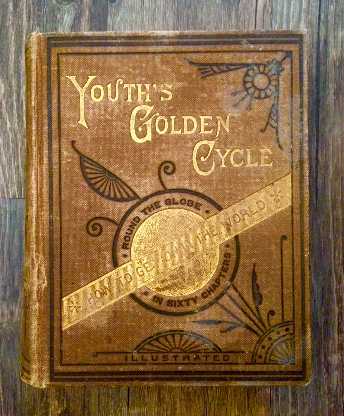 Youth's Golden Cycle